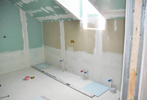 Best Emergency Mold Remediation  in Finneytown, OH