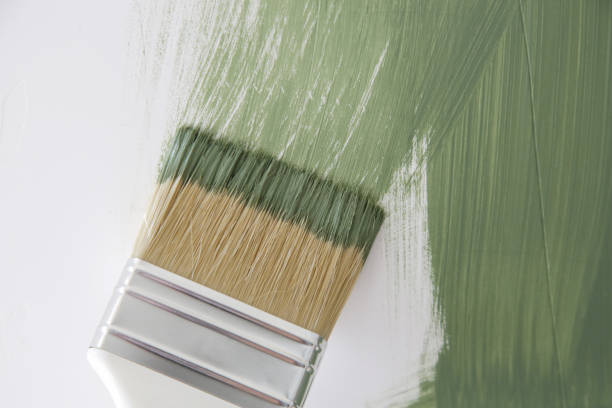 Best Commercial Mold Inspection  in Finneytown, OH