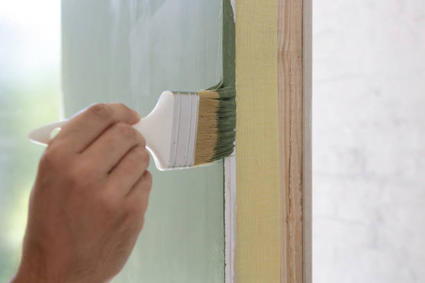 Best Basement Mold Removal  in Finneytown, OH