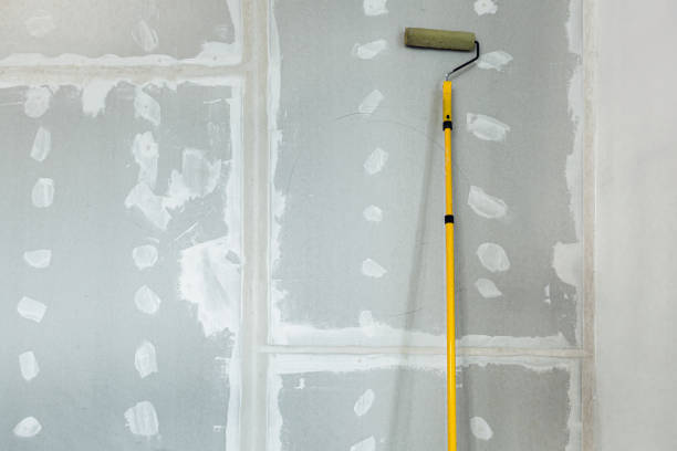 Best Mold-Related Health Consultation  in Finneytown, OH