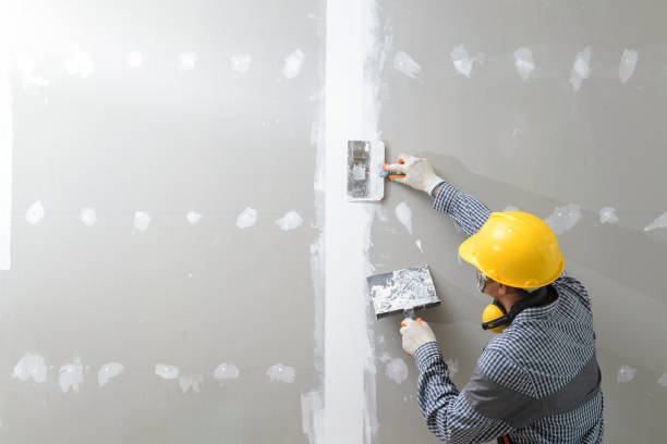 Finneytown, OH Mold Removal Pros