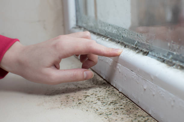 Best Mold-Related Health Consultation  in Finneytown, OH