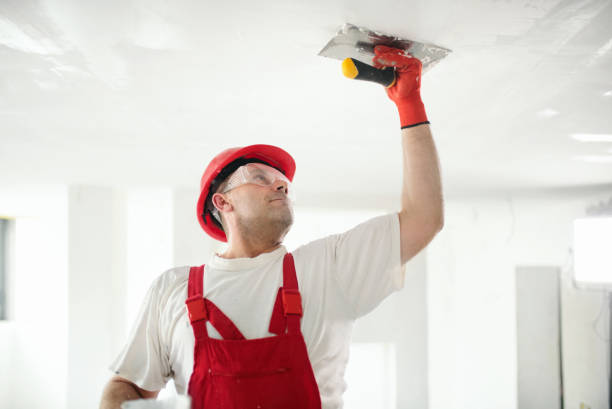 Best Mold Documentation for Insurance Claims  in Finneytown, OH