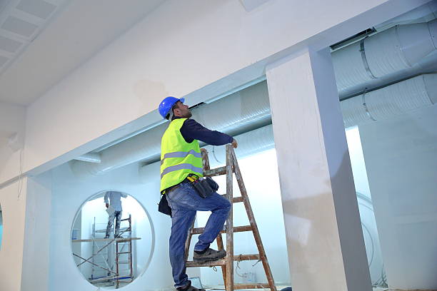 Best Post-Construction Mold Inspection  in Finneytown, OH