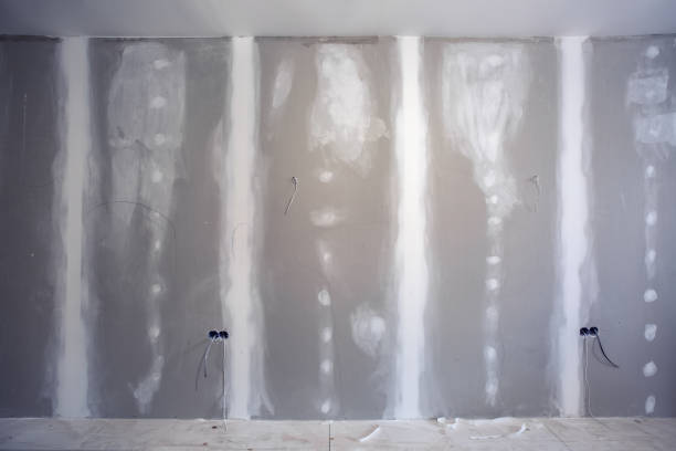 Best Commercial Mold Inspection  in Finneytown, OH